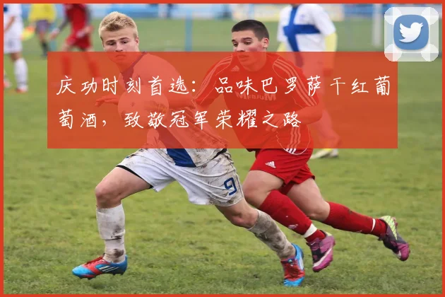 庆功时刻首选：品味巴罗萨干红葡萄酒，致敬冠军荣耀之路