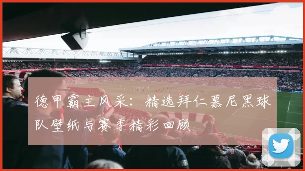 德甲霸主风采:精选拜仁慕尼黑球队壁纸与赛季精彩回顾