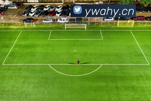 云开app官方版入口平台生态图